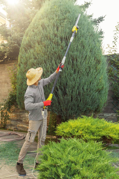 Best Artificial Turf Installation  in Leisure Village, NJ